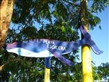Playa Escalera - RINCÓN